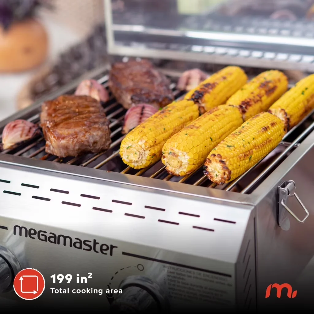 Compact Gas Grill with Portable, Built-In Lid, 2-Burner Stainless Steel Portable - Steel Model 1E916A