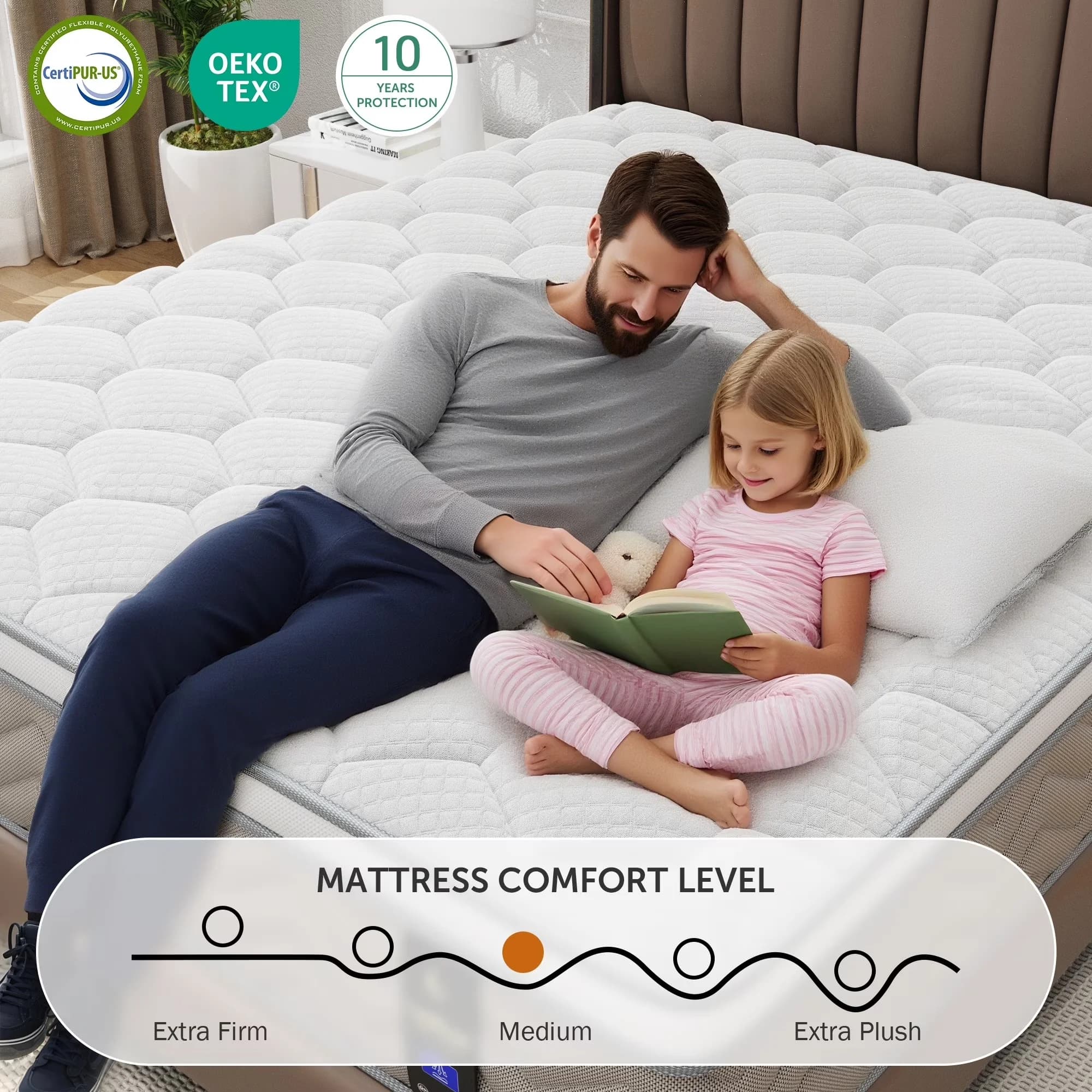 Innovative Mattresses Accessory with Hypoallergenic, Cooling Technology - Foam, Spring Brown Model 5029C1