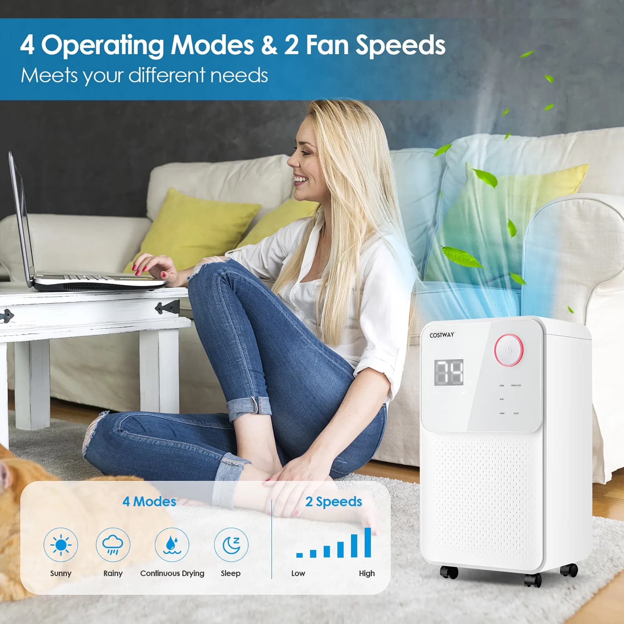 Classic Dehumidifier with Automatic Defrost Control, 90%RH), 9-Pint(DOE) - White Model E04FA2