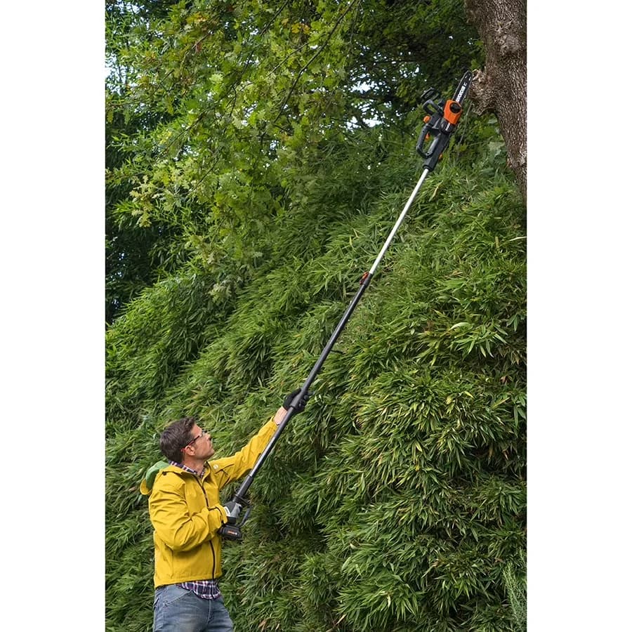 Pole Saw Premium with 20V, Adjustable, 10' Adjustable Extension - Aluminum Black Model 123AC3