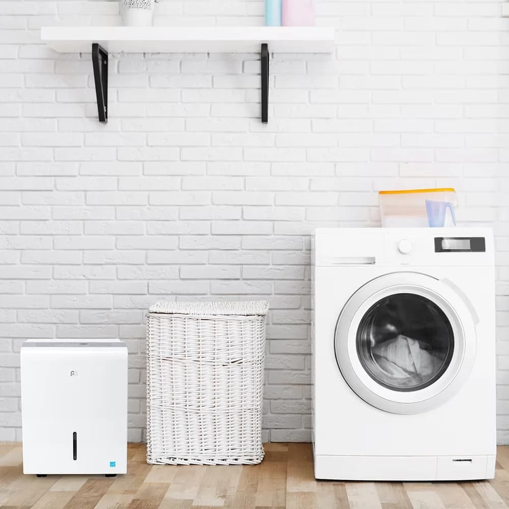 Professional Dehumidifier with Adjustable Humidistat, Automatic Shut-Off, Automatic Defrost Control - Gray Model C464E9