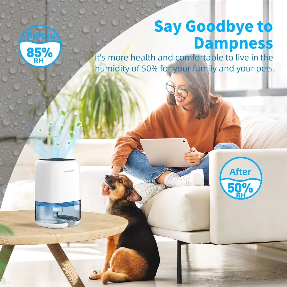 Compact Dehumidifier with Automatic Shut-Off, Automatic Defrosting, Portable and Ultra Quiet for Home - Model F2E199
