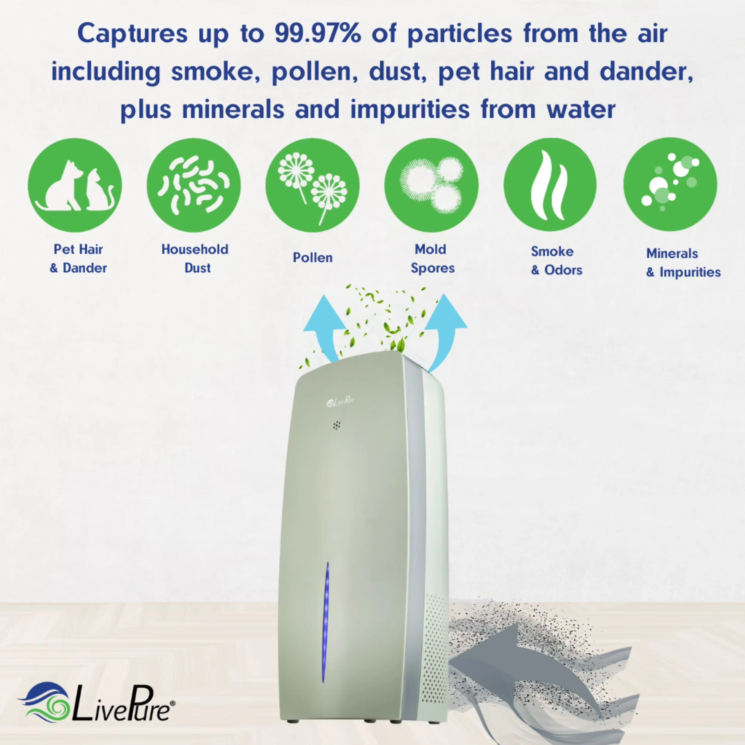 Premium Air Purifier with True HEPA & Humidifier, Black - Black for Everyday Use Model F30C12