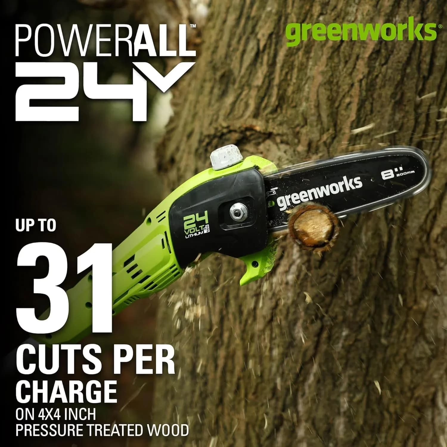 Innovative Pole Saw with Battery, 24V, Automatic Chain Oiler for General Purpose - Model EFFCC9