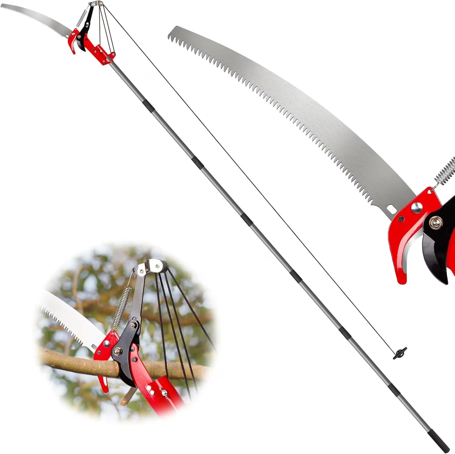 Quality Pole Saw with Telescoping, Durable Tree Pruner, 10ft Telescopic for Garden - Model F0265F