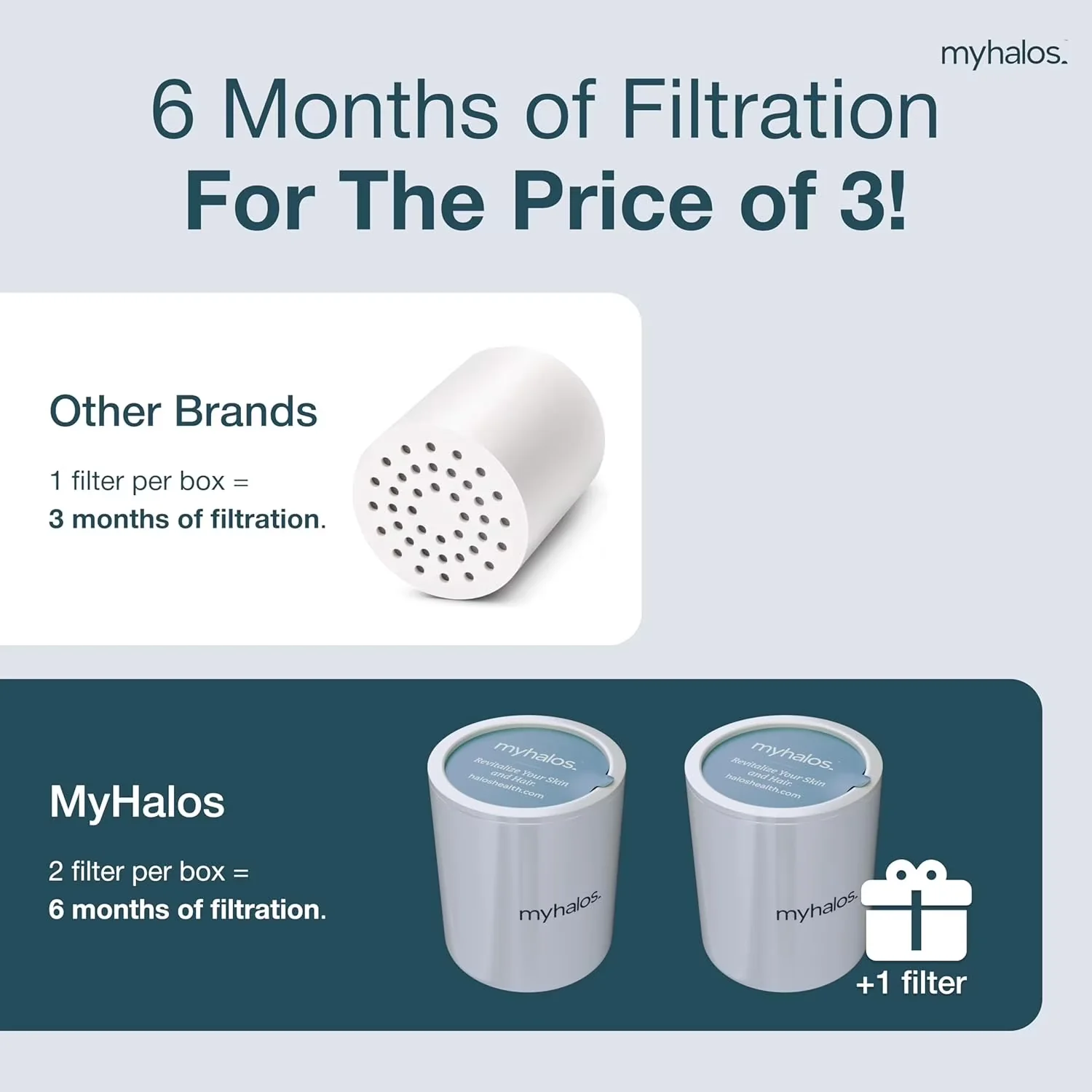 Classic Shower Head with Easy To Install, Travel Power Filtered Filter - White Model 438809