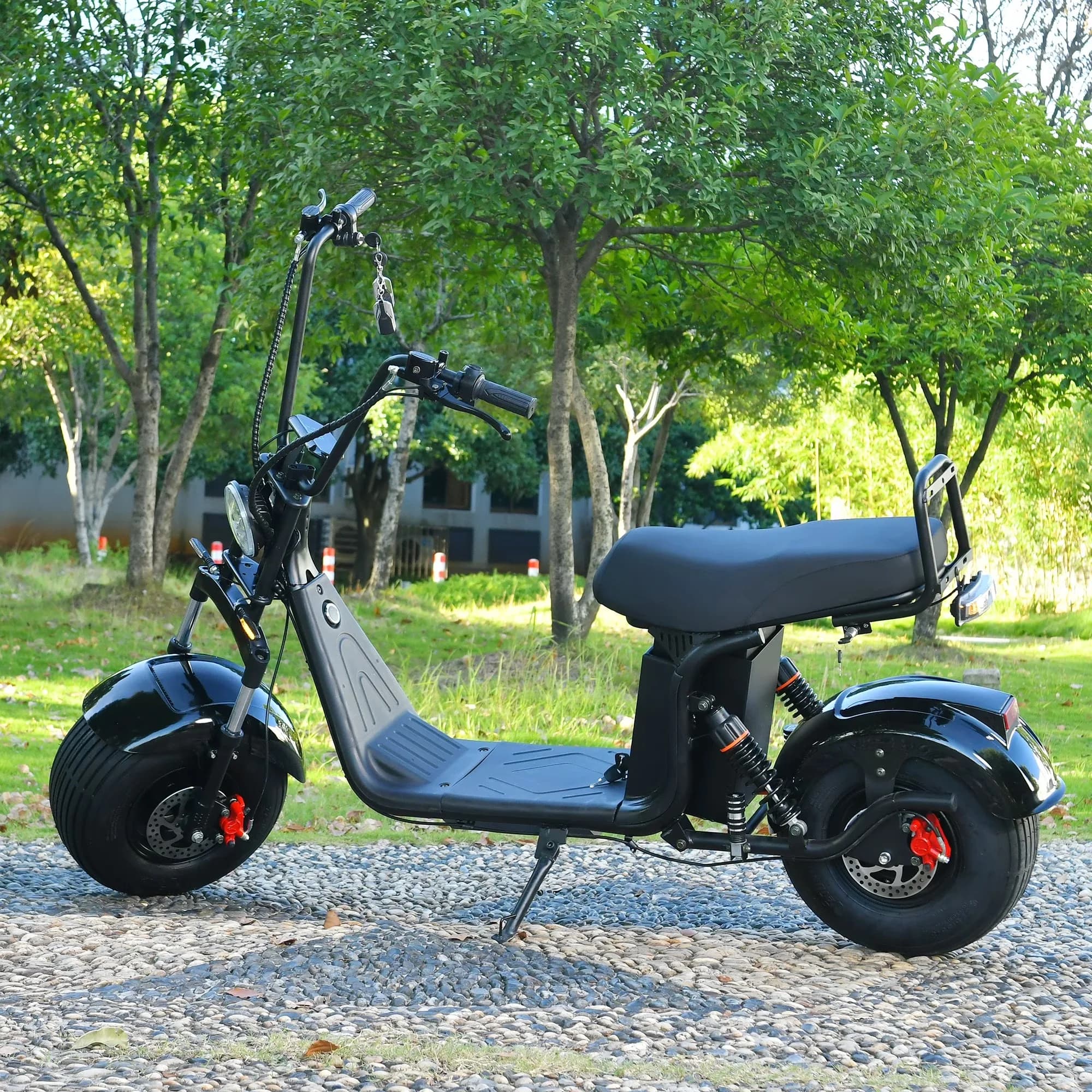 Versatile Scooter with 3000W, Headlights - Black Iron, Plastic - Standard Series Model DE77FB