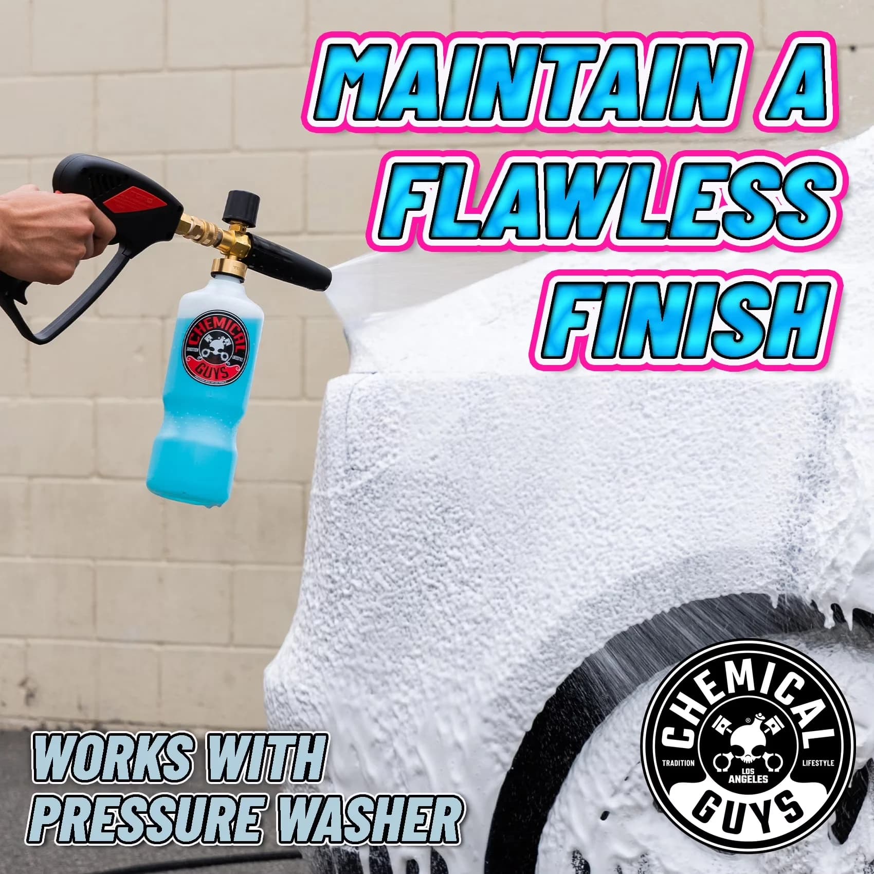 Stylish Pressure Washer - Plastic EQP310 - Professional Series Model DA5670
