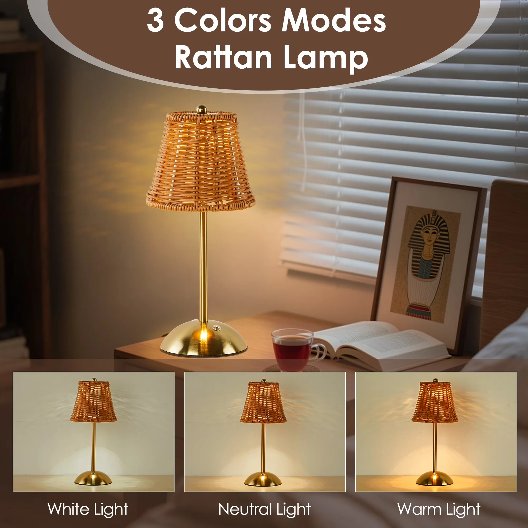 Quality Lamp with LED, Battery, Modern - Gold Pc Rattan for Living Room, Bedroom Model D4674C