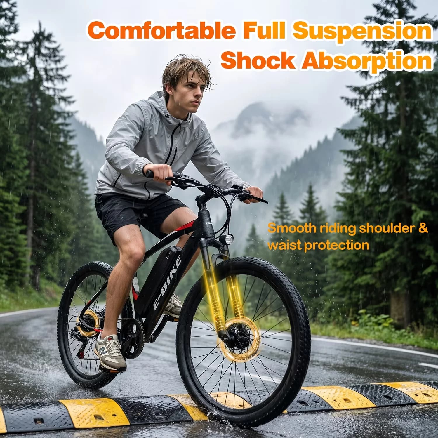 Electric Bike Premium with Battery, 750W, 48V - Commercial Quality Model 91EAFC