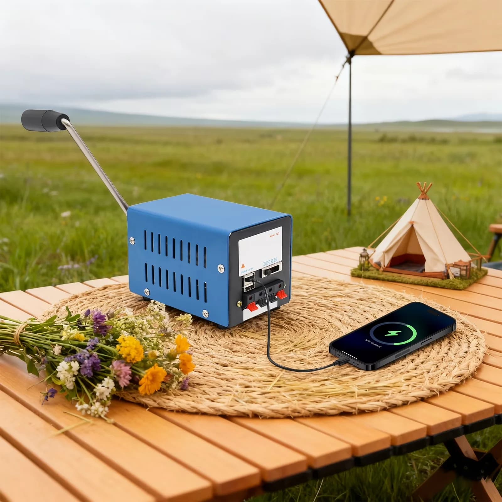 Quality Generator with 20W, Digital Display, Overload Protection - Black Model E20196