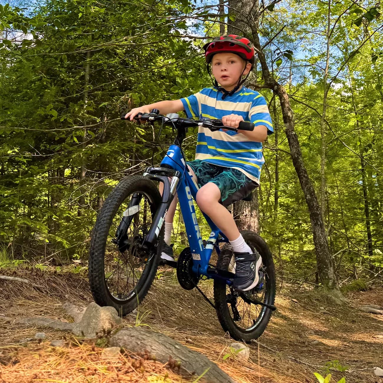 Compact Mountain Bike with Lightweight, Adjustable Handlebar Height, Skyline 24 Inch Kids - Model 4A1692