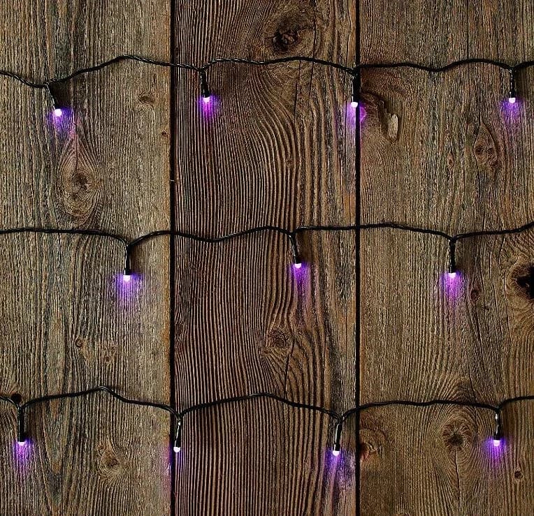 Essential Novelty Light with LED, Battery, 3.5-Feet - Purple Product - Residential Grade Model 3D4249