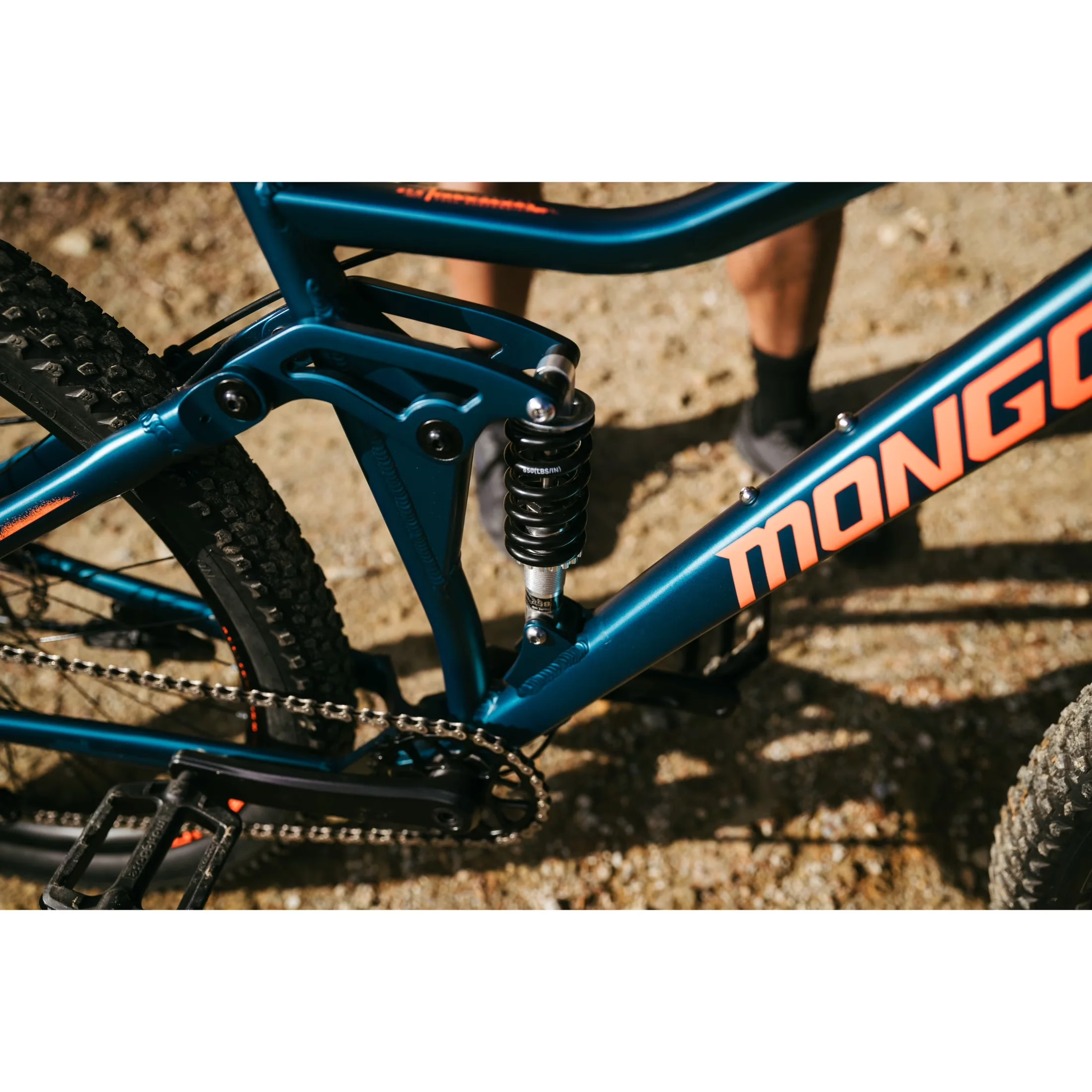 Versatile Mountain Bike with Adjustable Seat Height, Adults Ages 14+ - Blue Model 9BB3B6
