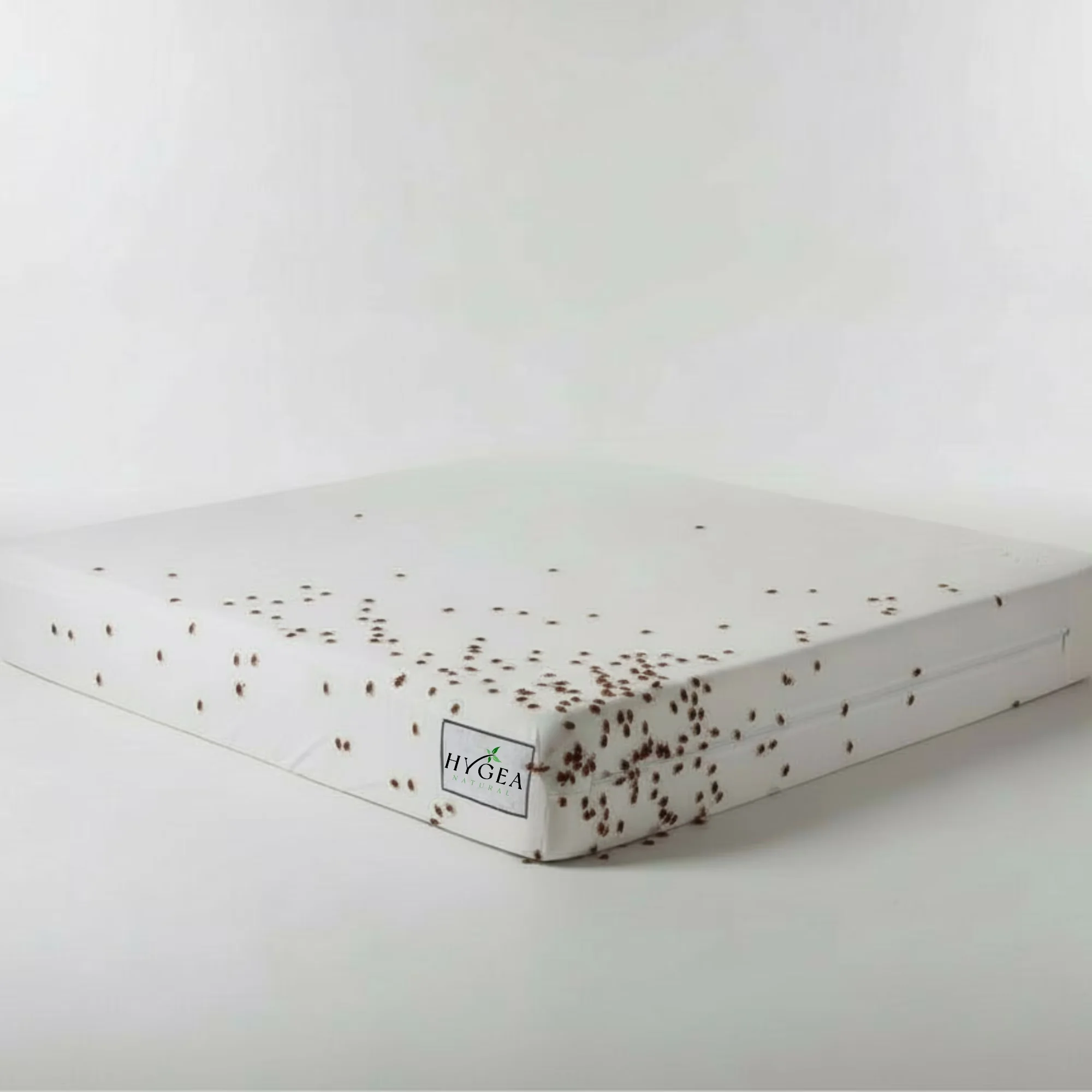 Versatile Moving with Bed Bug Resistant, Breathable - Polyester, 3-Sided Zipper, Velcro Flap Model DCD5C7