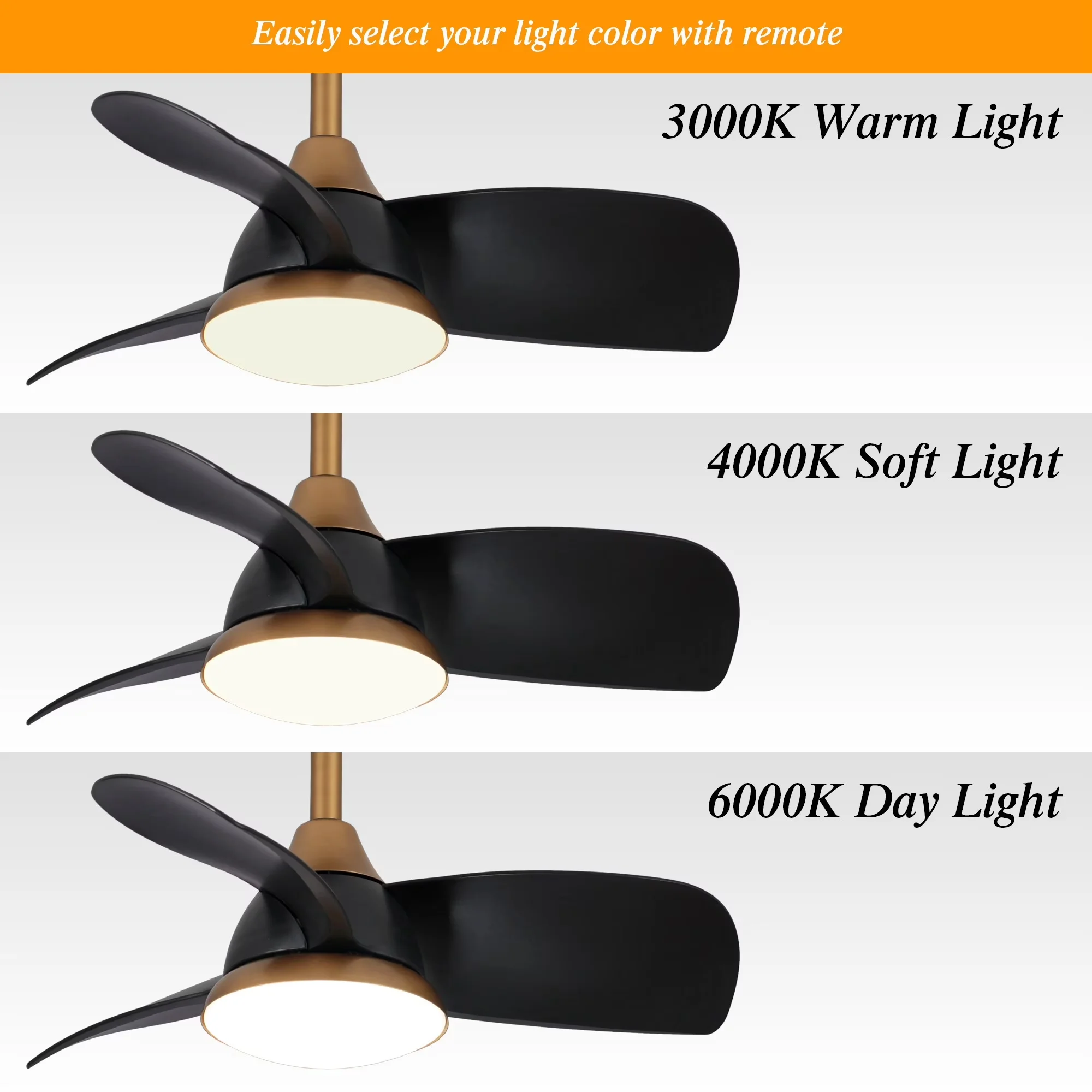 Reliable Ceiling Fan with LED, Reverse Airflow, 28 inch Modern Black LED - Acrylic Black Model 7256B7