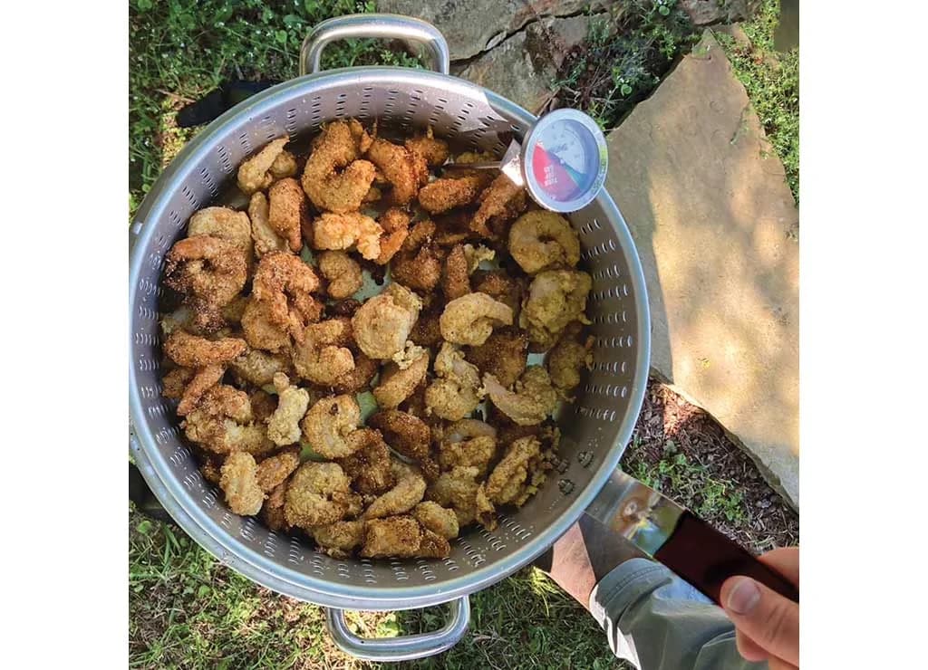 Outdoor Fryer Sleek with 10qt Aluminium, Strainer - Multicolor Plastic Model CDA5A7