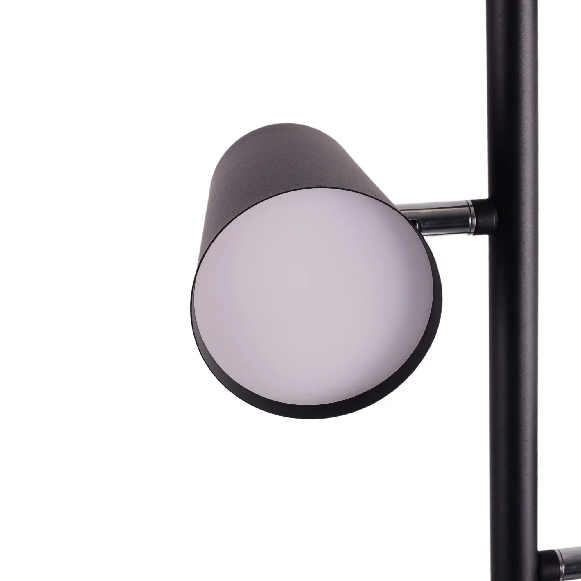 Floor Lamp Essential with LED, Adjustable Head, 62.2 in Height - Metal Black Model 69F027