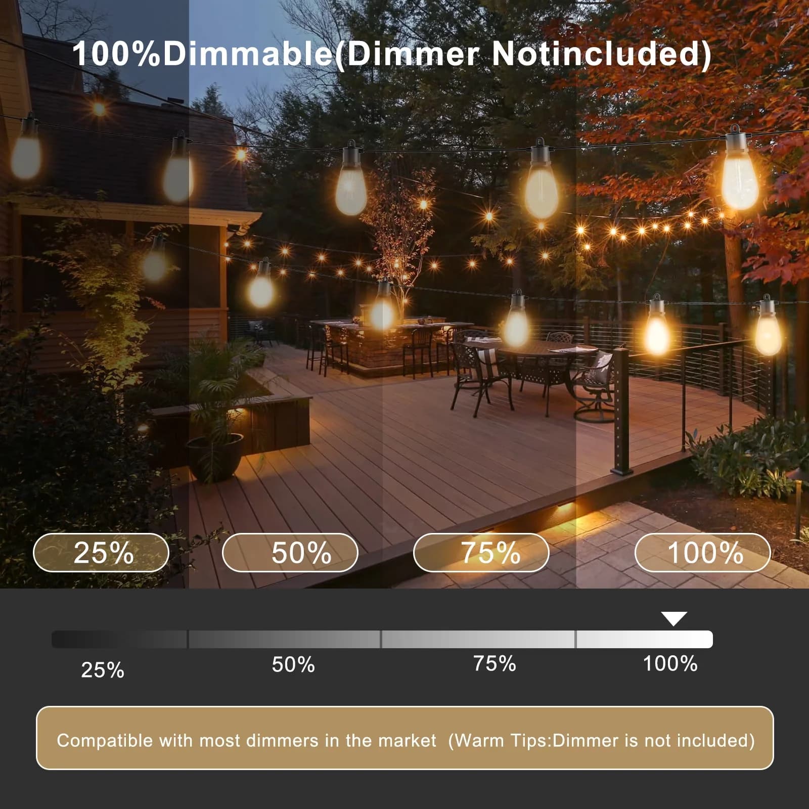 Innovative Novelty Light with LED, Weatherproof, 30+3 Edison LED Bulbs - Black for Garden Model 840249
