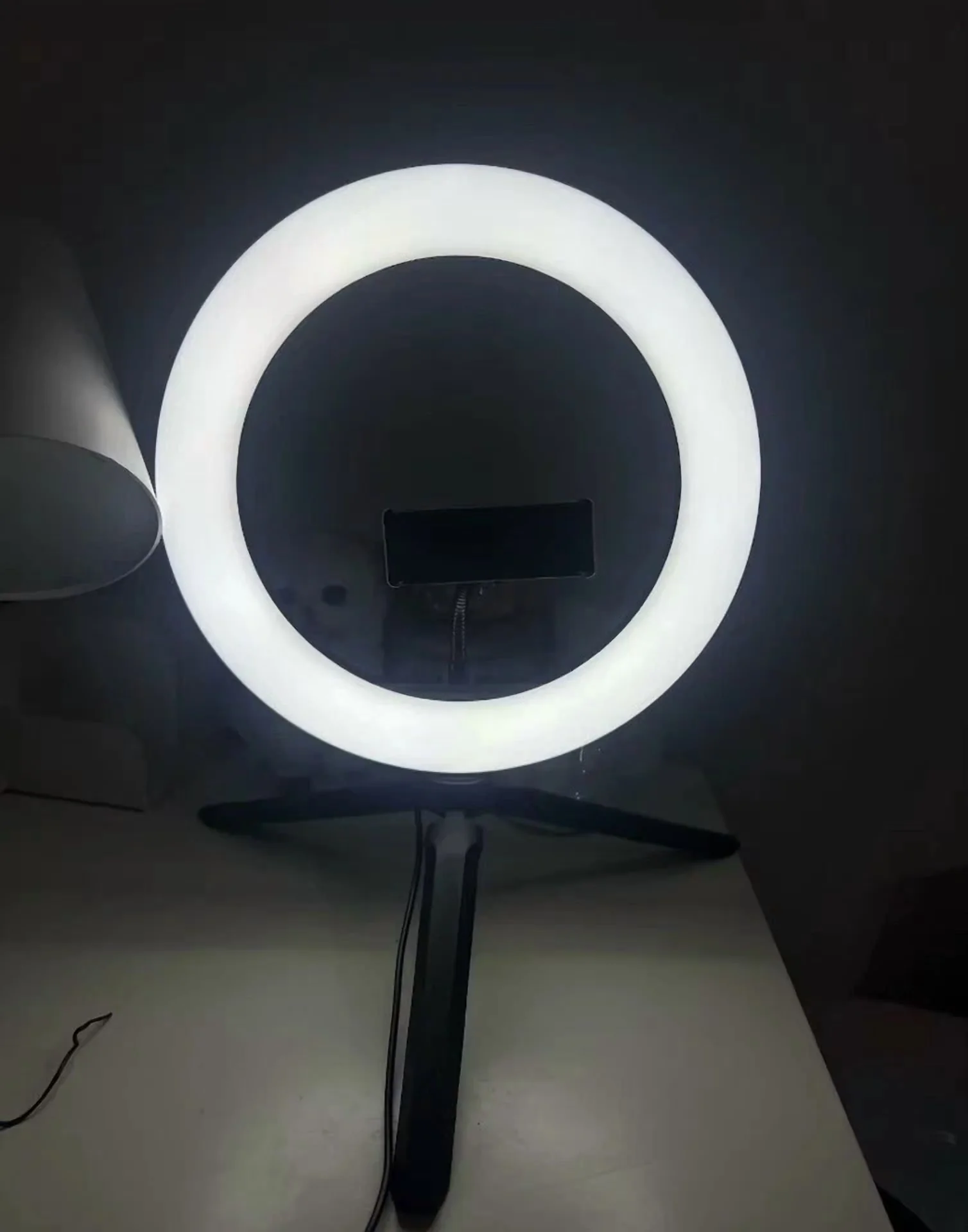 Novelty Light Classic with LED - Ring - Sleek Profile Model 23125F
