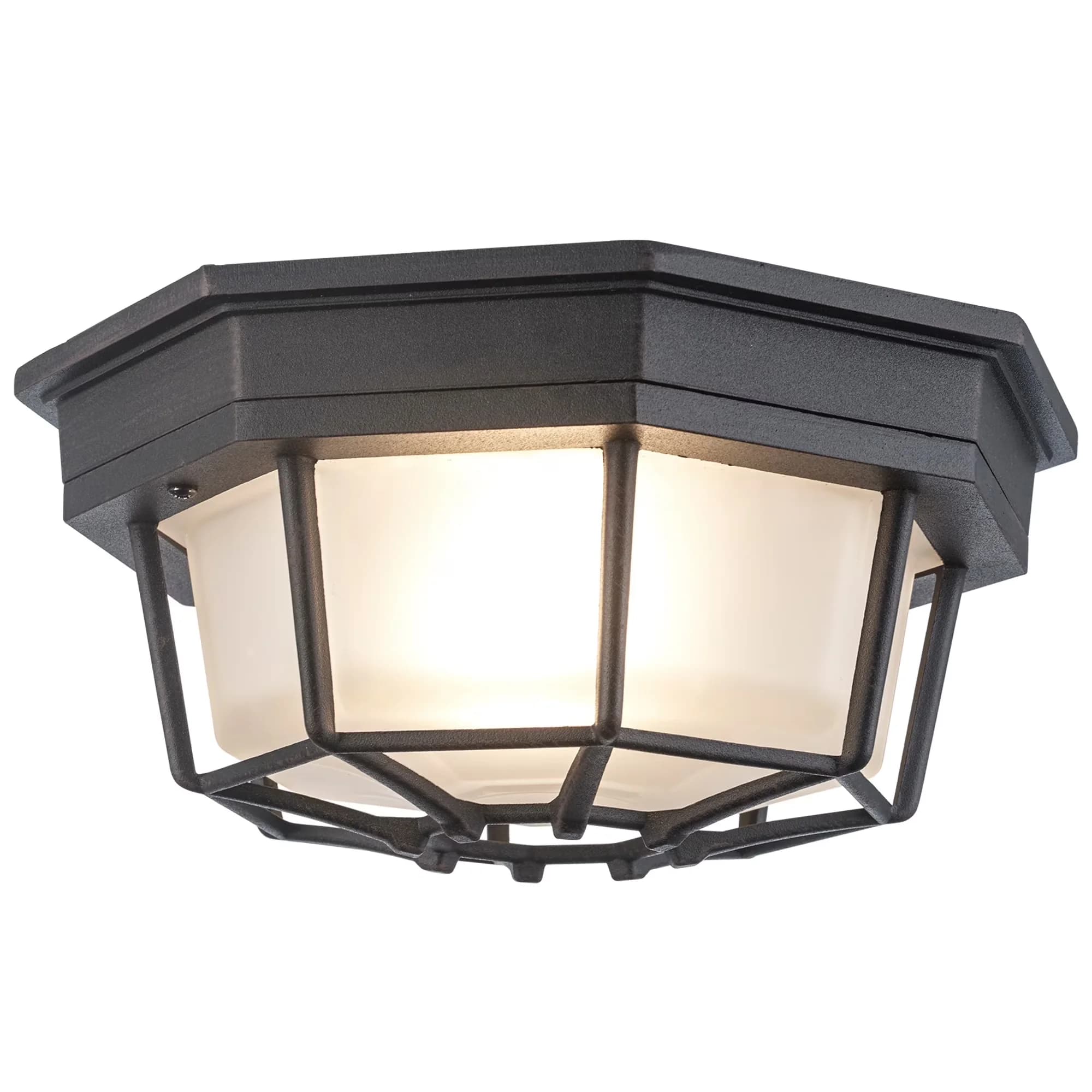 Ceiling Lights Fixture Durable with Incandescent, Contemporary, Dimmable - Metal Black Model 49DE49