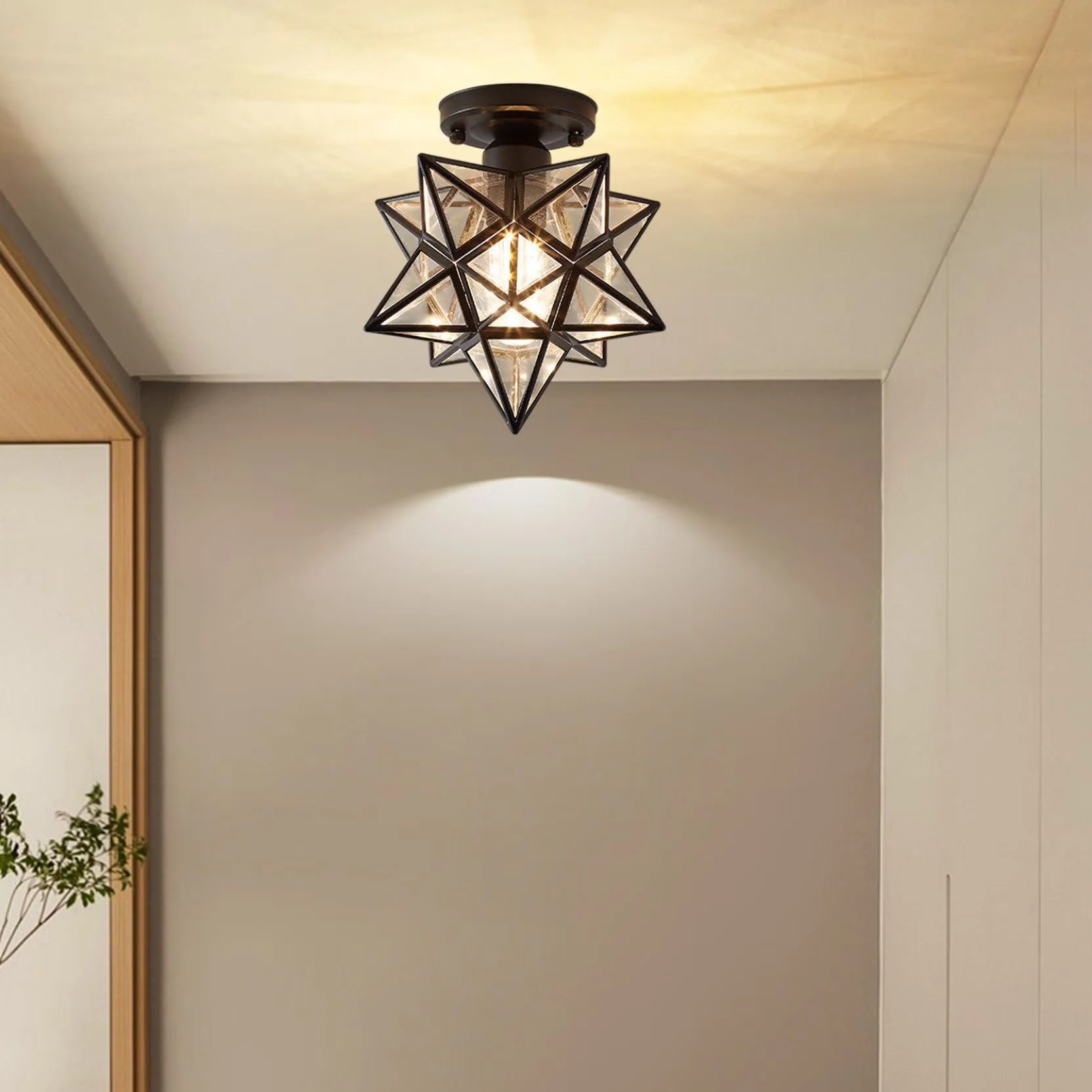 Quality Ceiling Lights Fixture with Transitional, Clear Glass on Clearance Black - Brass Black Model FB3291