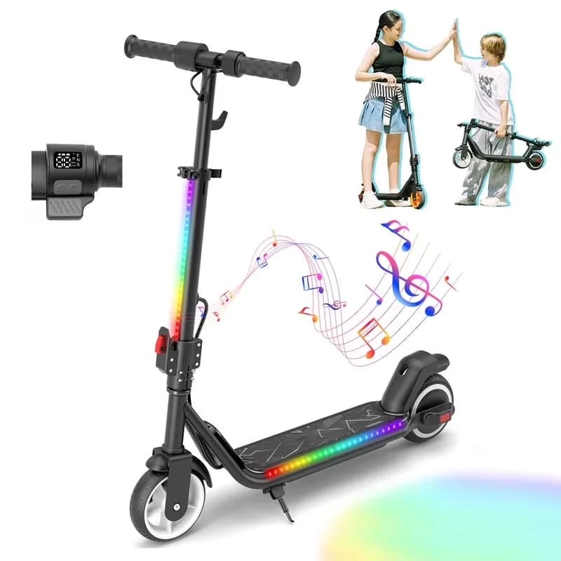 Professional Scooter with Battery, LED, 200W - Aluminum Alloy Black - Standard Series Model 6F335B