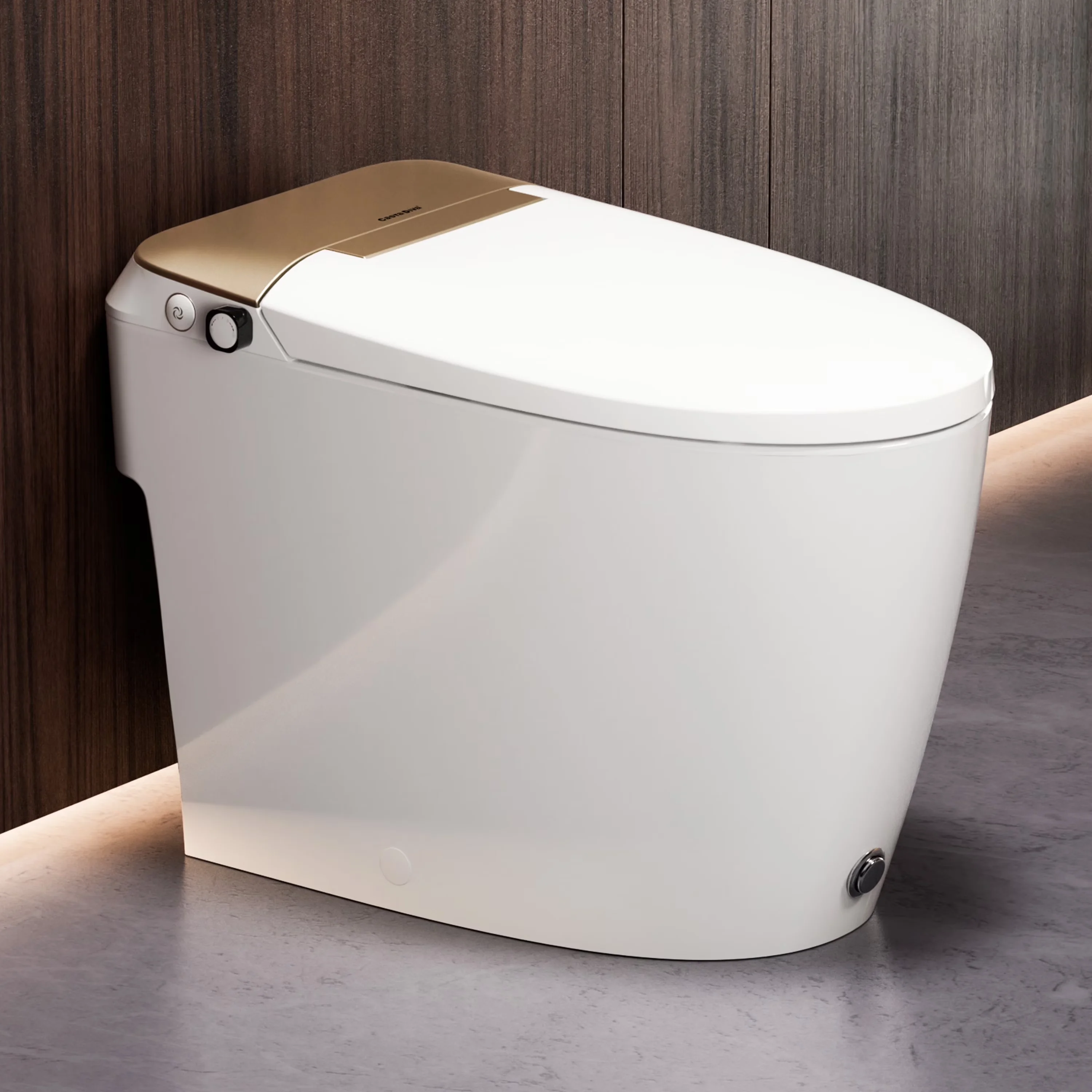 Toilet Seats And Lid Premium with Low Pressure, Water Saver, Pressure Assisted - Ceramic Gold Model 479C66