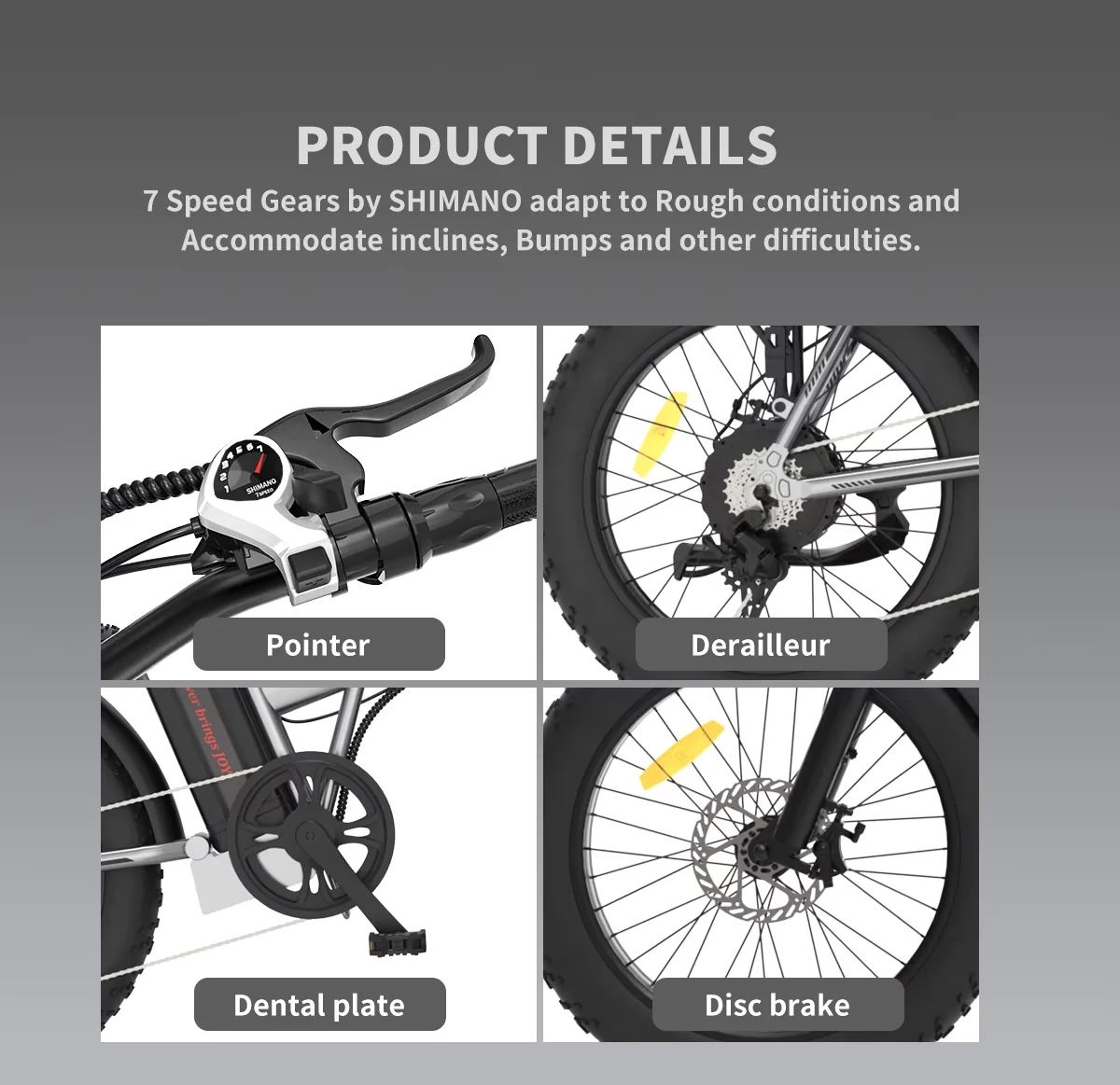 Electric Bike Professional with 750W, 48V, Folding 20 inch Fat Tire - Compact and Portable Model 7574A4